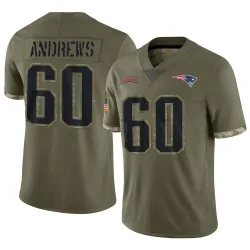 Men's David Andrews New England Patriots No.60 Limited 2022 Salute To Service Jersey - Olive